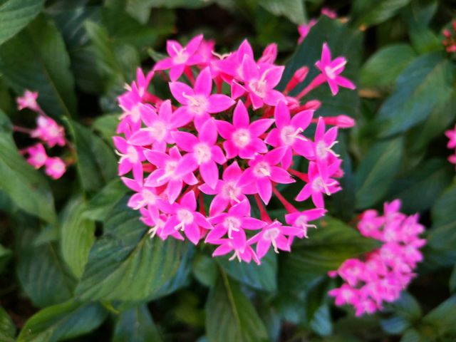 软文营销：开启品牌成功之门