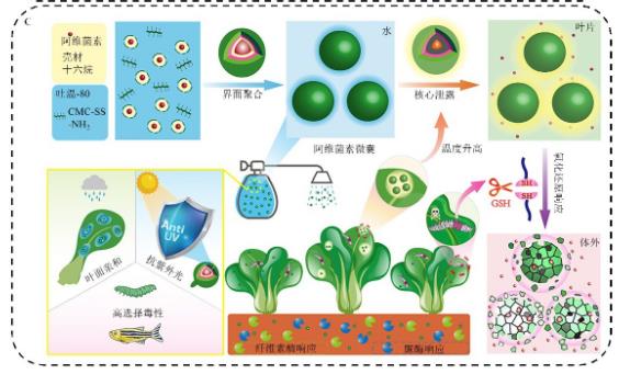 中国农药微囊制剂发展迅速